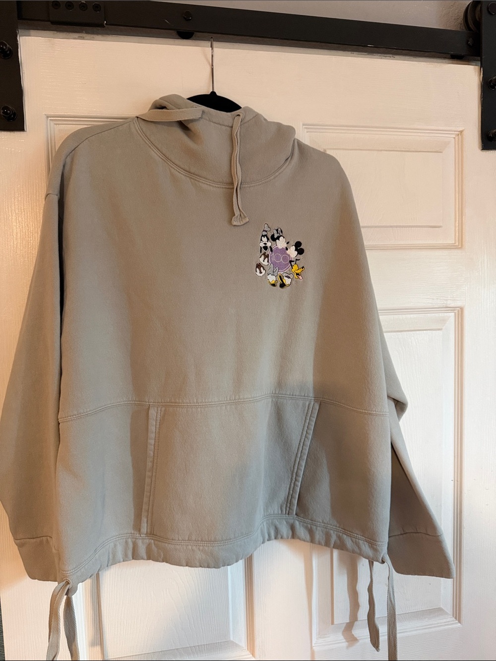 Disney 100 years Hoodie
Collectors piece